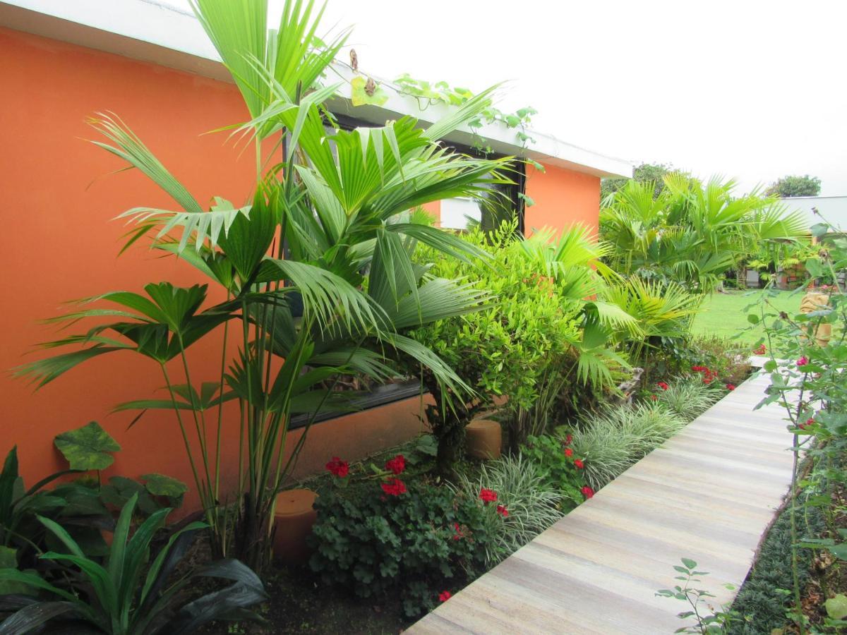 Hotel Yalconia San Agustin  Exterior photo